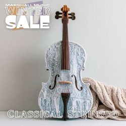 Classical Strings Department - WS25