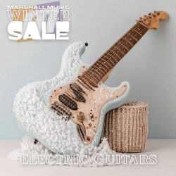 Electric Guitars - WS25