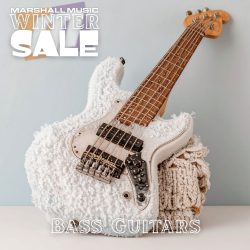 Bass Guitars - WS25