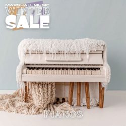 Digital Pianos - WS25