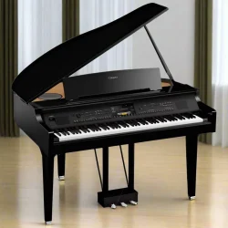 Digital Grand Pianos