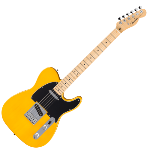 Fender Standard Telecaster Electric Guitar - Butterscotch Blonde - Image 2
