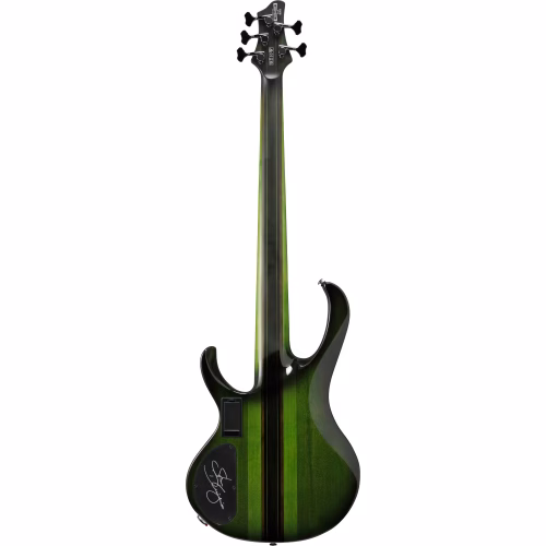 Ibanez Steve Di Giorgio SDGB1 Signature 5-string Fretless Bass - Image 4