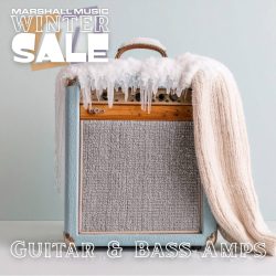 Guitar & Bass Amps - WS25
