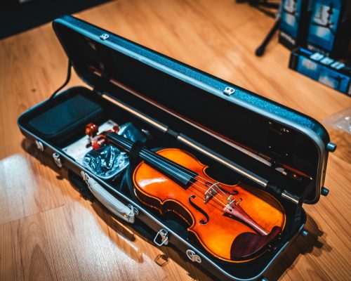 Sandner G2 Master Violin Outfit 4/4 - Image 3