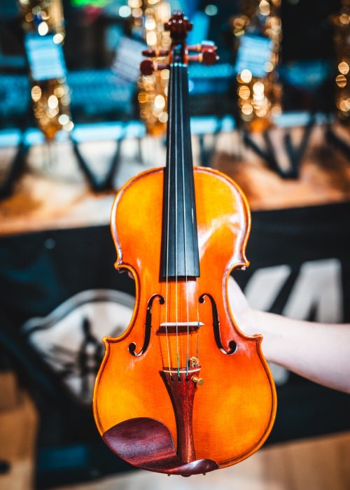 Sandner G2 Master Violin Outfit 4/4