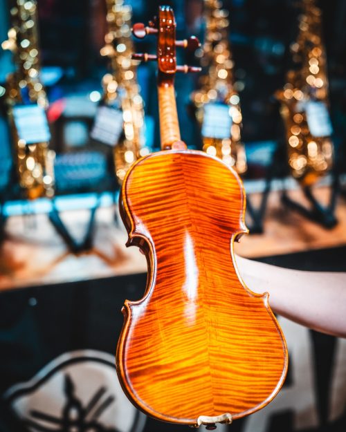 Sandner G2 Master Violin Outfit 4/4 - Image 2
