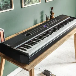 Digital Portable Pianos