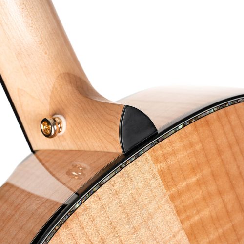 Cort Gold-Passion Acoustic Electric Guitar – with Bevel Cutaway - Image 7