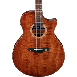 Ibanez AE295LTD Limited-Edition Acoustic-Electric Guitar