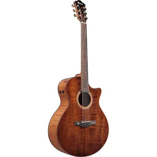 Ibanez AE295LTD Limited-Edition Acoustic-Electric Guitar - Image 2