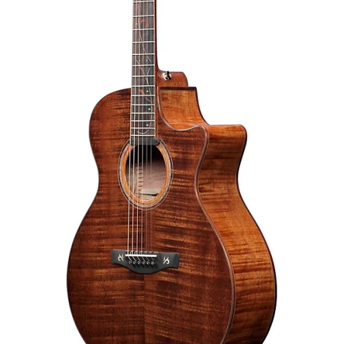 Ibanez AE295LTD Limited-Edition Acoustic-Electric Guitar - Image 3