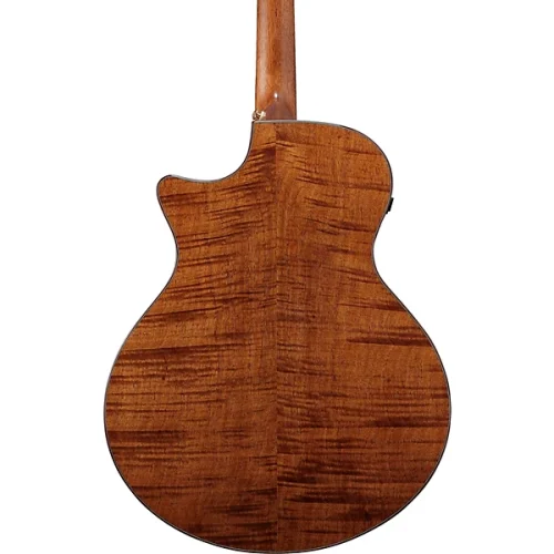 Ibanez AE295LTD Limited-Edition Acoustic-Electric Guitar - Image 4
