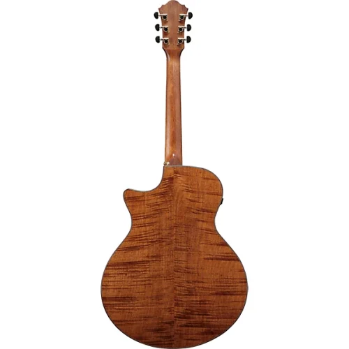 Ibanez AE295LTD Limited-Edition Acoustic-Electric Guitar - Image 5