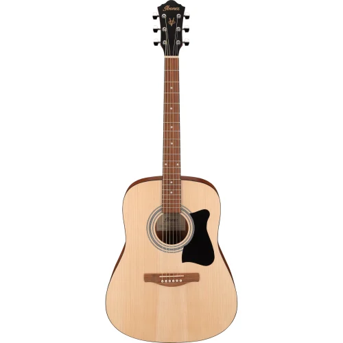 Ibanez Jam Pack Dreadnought Acoustic Guitar Pack - OPN - Image 2
