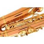 Yanagisawa A-WO20 Elite Professional Alto Saxophone - Bronze - Image 3