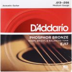 D'Addario EJ17 Phosphor Bronze Acoustic Guitar Strings - .013-.056 Medium