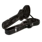 Epiphone Les Paul Guitar Case