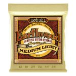 Ernie Ball Earthwood 80/20 Bronze Acoustic Strings - 12-54