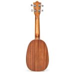 Lanikai MA-P Pineapple Soprano Ukulele - Image 2