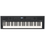 Roland GO:KEYS 5 61-Key Keyboard - Graphite
