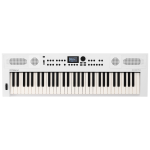 Roland GO:KEYS 5 61-key Keyboard - White