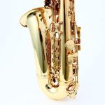 Chateau CAS-21 Eb Alto Saxophone Lacquer Student Bundle - Image 5