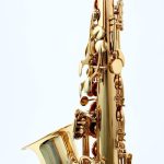 Chateau CAS-21 Eb Alto Saxophone Lacquer Student Bundle - Image 6