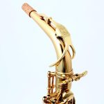 Chateau CAS-21 Eb Alto Saxophone Lacquer Student Bundle - Image 7