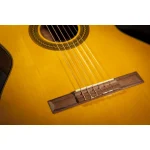 Takamine GC1CE Nylon String Acoustic Guitar - Natural - Image 3