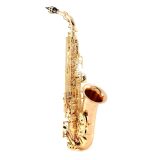 Yanagisawa A-WO20 Elite Professional Alto Saxophone - Bronze - Image 2