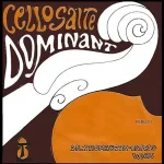Thomastik Dominant Cello Single String D 4/4
