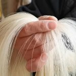 Gewa Bow Mongolian horse hair for Cello - Image 2